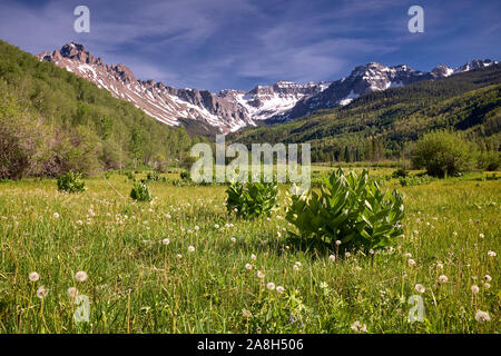 Mount Sneffels, San Juan, Berge, Colorado, USA Stockfoto