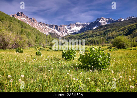 Mount Sneffels, San Juan, Berge, Colorado, USA Stockfoto