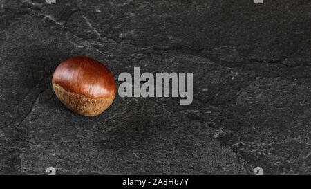 Flach Foto - detailierte Nahaufnahme von Kastanie auf schwarzen Stein. Stockfoto