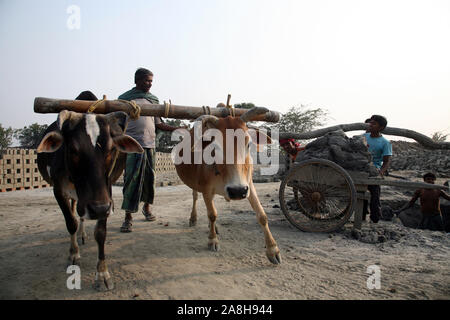 Ziegelfabrik in Sarberia, West Bengal, Indien Stockfoto