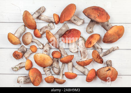 Tischplatte, frisch gepflückt Wald Pilze, red-capped scaber Stiel Sorte (Leccinum aurantiacum/albostipitatum), White Boards Schreibtisch Stockfoto