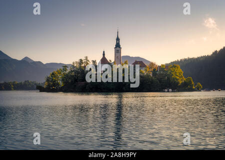 Malerischer Blick auf den See Bled Insel mit Kirche und bunten Herbst Laub, Slowenien, Europa Stockfoto