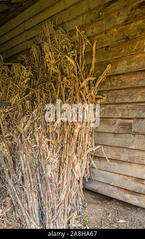 Alte Heu in einer verlassenen Scheune Stockfoto