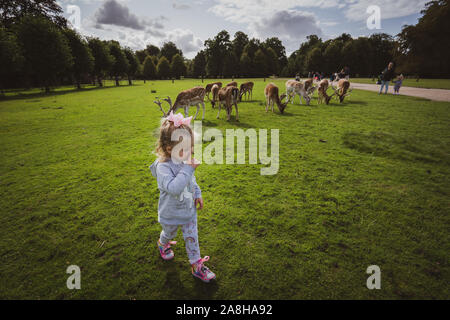 Ein kleines Mädchen erforscht die Gründe der Dunham Massey, Damwild und das Haus und die Gärten, Kind in der Landschaft UK suchen Stockfoto