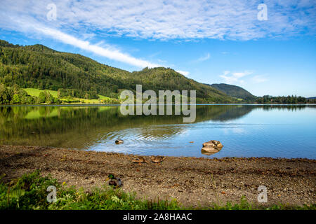 Malerische Küste des Lake Schliersee an einem sonnigen Tag mit blauen Himmel in Bayern, Deutschland Stockfoto