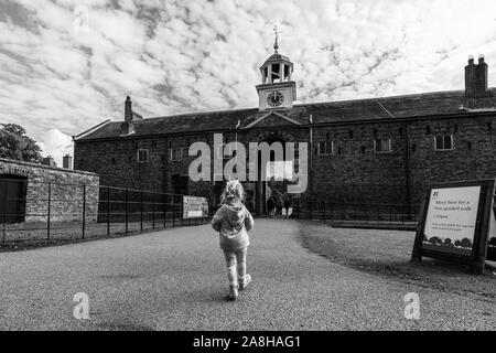 Ein kleines Mädchen erforscht die Gründe der Dunham Massey, Damwild und das Haus und die Gärten, Kind in der Landschaft UK suchen Stockfoto