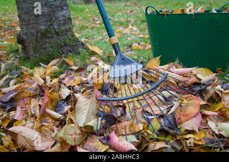 Ein Rechen gegen einen Baum mit einem Stapel von gefallenen Blätter im Herbst lehnen und Gartenbau Whirlpool mit Blättern in einem privaten Garten. Stockfoto