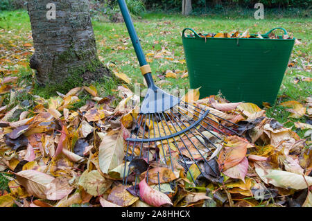 Ein Rechen gegen einen Baum mit einem Stapel von gefallenen Blätter im Herbst lehnen und Gartenbau Whirlpool mit Blättern in einem privaten Garten. Stockfoto