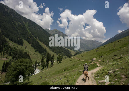 Pahalgam, Jammu und Kaschmir, Indien: - August 02, 2011: Touristische ein Pferd reiten in der Aru Senke, unter dem Himalaya Spektrum Stockfoto