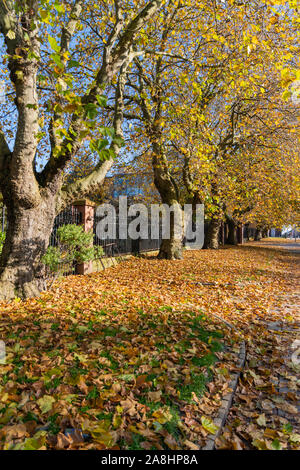 Herbst in Liverpool. Obere Duke Street. Stockfoto