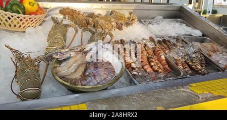 Die Sehenswürdigkeiten von fantastischen Street Food rund um Thailand Stockfoto