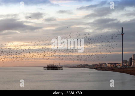 Pier und Herde von Staren in Brighton Stockfoto