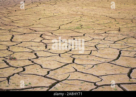Wüste mit großen Risse durch eine schwere Dürre verursacht. Die globale Erwärmung folgen. Stockfoto