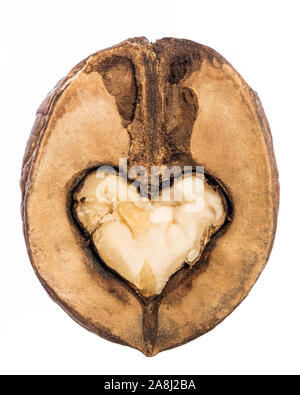 Herzförmige kernel innerhalb einer halben Walnuss auf weißem Hintergrund Stockfoto