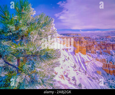 Frischer Schnee auf der Felge, Bryce Canyon National Park, Utah Sunrie Punkt Stockfoto