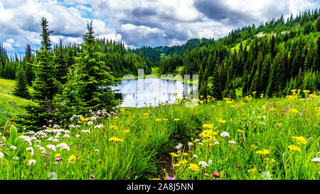 Ein Blick auf Tod See mit den vielen alpinen wilde Blumen wie aus dem Wanderweg gesehen unten kommen Tod Berg in Sun Peaks, British Columbia, Kanada Stockfoto