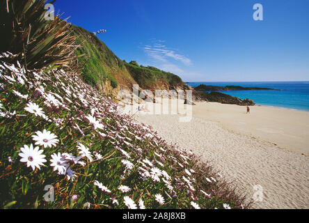 Kanal Inseln. Guernsey. Herm Insel. Beach Szene mit verstreuten Menschen. Stockfoto