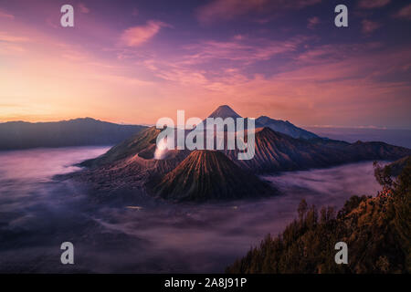 Mount Bromo bei Sonnenaufgang. Nebel in die Caldera, Semeru, und ash Cloud. Java Insel. Indonesien Abenteuer Reise. Stockfoto