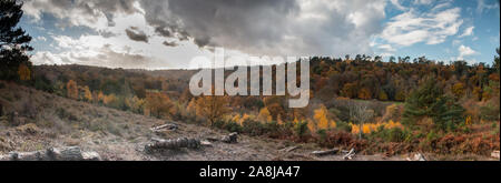 Der Blick in die PUNCHBOWL Stockfoto