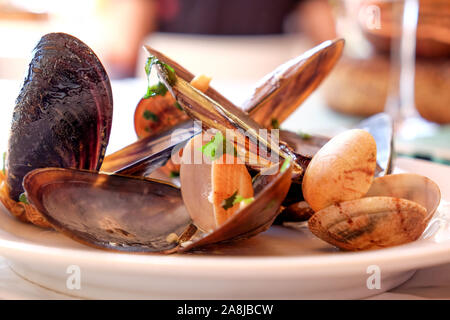 Ein Restaurant weiße Platte voller Muscheln und Muscheln in Weißweinsauce mit Knoblauch und Petersilie ein traditionelles portugiesisches Gericht namens Ameijoas gekocht ein Stockfoto