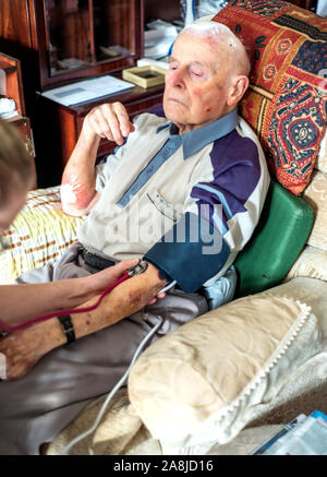 Ein Bezirk Krankenschwester behandelt einen 90 vier Jahre alten Mann, der Gehirn- und Kopfverletzungen nach einem traumatischen Fallen zu Hause, nach seiner Entlassung aus dem Krankenhaus. Stockfoto