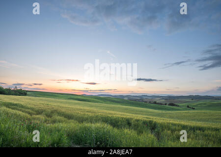 Sonnenuntergang Landschaften über die grünen Wiesen und Hügel in der Toskana Stockfoto