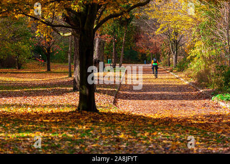 Mutter Natur auf voller Anzeige wie Bäume im Südwesten von Ontario, Kanada Signal den Wechsel der Jahreszeiten vom Sommer in den Herbst. Stockfoto