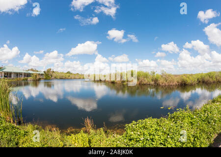 Querformat von Everglades National Park im Laufe des Tages (Florida). Stockfoto