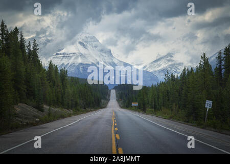 Icefields Parkway, der Panoramastraße durch die Rocky Mountains. Bewölkten Tag. Pfad zwischen dem Pinienwald und dem riesigen Berg am Ende. Stockfoto