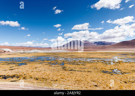 Rio Putana, San Pedro de Atacama Stockfoto