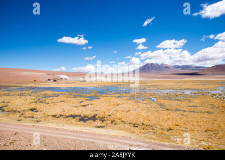 Rio Putana, San Pedro de Atacama Stockfoto