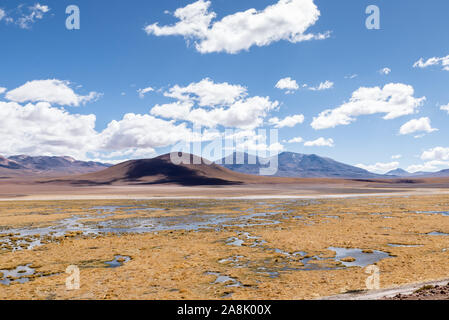 Rio Putana, San Pedro de Atacama Stockfoto