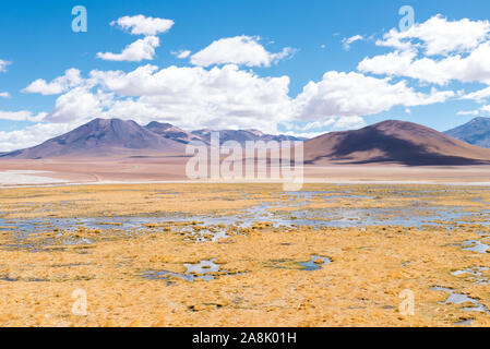 Rio Putana, San Pedro de Atacama Stockfoto