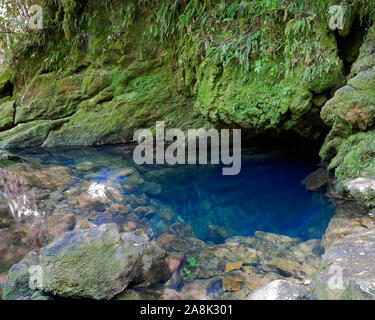 Die blauen Pool am Wiederaufleben, wo die Riuwaka River von Takaka Hill, Neuseeland entsteht. Stockfoto