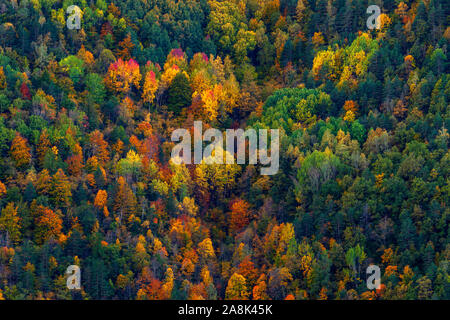 Schönen Farben der falll Wald. Pyrenäen, Spanien Stockfoto