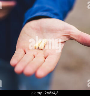 Der Menschen Hand mit zwei gelben Pillen Stockfoto