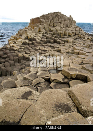 Die berühmten Giant's Causeway in Nordirland von sechseckigen Basaltsäulen, die ins Meer fielen gebildet. Geologie Stockfoto