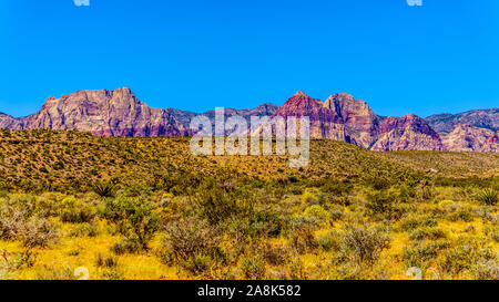 Blick auf die roten Sandstein Berge in der Halbwüste Landschaft des Red Rock Canyon National Conservation Area in der Nähe von Las Vegas, Nevada, USA Stockfoto