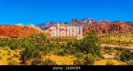 Blick auf die Berge des roten Sandsteins aus der Asche Canyon Trail in der Red Rock Canyon National Conservation Area in der Nähe von Las Vegas, Nevada, USA Stockfoto