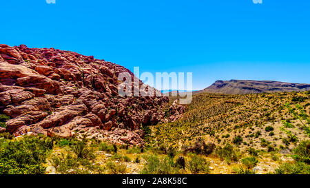 Die gefrorenen Lava - wie rote Felsen entlang der Kaliko Wanderweg in der Red Rock Canyon National Conservation Area in der Nähe von Las Vegas, Nevada, United States Stockfoto