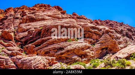 Die gefrorenen Lava - wie rote Felsen entlang der Kaliko Wanderweg in der Red Rock Canyon National Conservation Area in der Nähe von Las Vegas, Nevada, United States Stockfoto