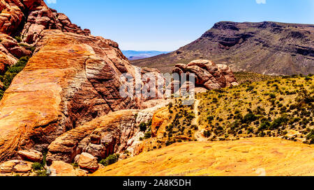 Die gefrorenen Lava - wie rote Felsen entlang der Kaliko Wanderweg in der Red Rock Canyon National Conservation Area in der Nähe von Las Vegas, Nevada, United States Stockfoto