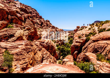 Touristen stehen auf der roten Sandsteinfelsen am Hinterkopf der Calico Wanderweg in der Red Rock Canyon National Conservation Area in der Nähe von Las Vega Stockfoto