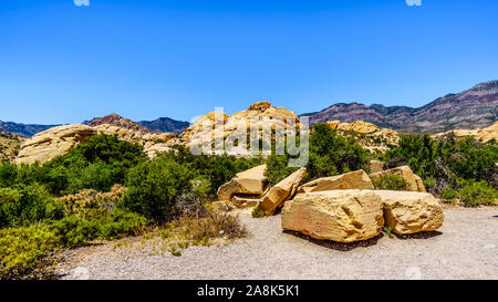 Riesigen gelben Sandsteinfelsen im Sandsteinbruch Trail im Red Rock Canyon National Conservation Area in der Nähe von Las Vegas, Nevada, United States Stockfoto