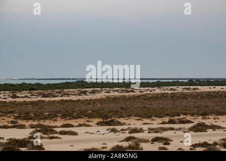 Blauer Himmel über die Weite der mongolischen Steppen. Bäume und das Meer - Bild Stockfoto