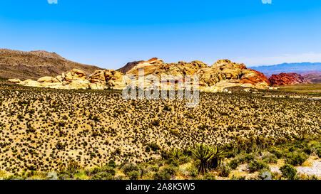 Die bunten Felsen der Calico Becken aus dem Übersehen in der Red Rock Canyon National Conservation Area in der Nähe von Las Vegas, Nevada, United States gesehen Stockfoto