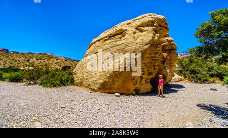 Ältere Frau, die von einem riesigen gelben Sandsteinfelsen im Sandsteinbruch Trail im Red Rock Canyon National Conservation Area in der Nähe von Las Vegas, NV Stockfoto