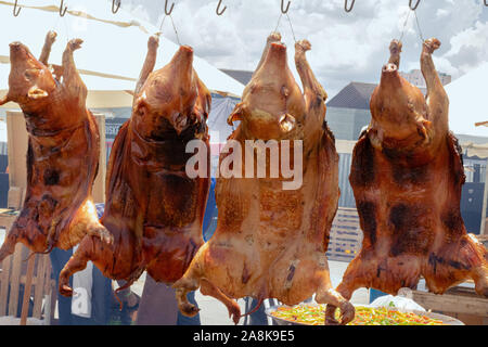 Bei einigen Schweinen in einer Clothesline gehalten wird, während sich gegrillte Stockfoto