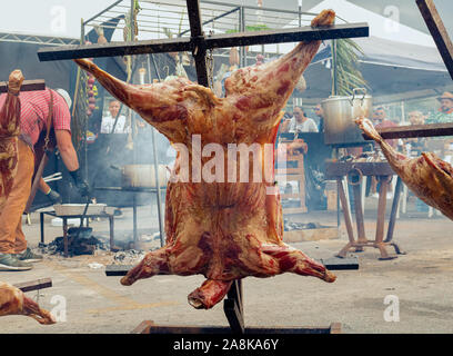 Ein ganzes Schwein, gegrillt auf dem Boden in der Sonne Stockfoto