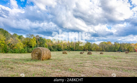 Strohballen haw in einem an einem stürmischen Tag im Orange County North Carolina eingereicht Stockfoto